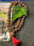 5 Mukhi Nepali Rudraksha Mala : Wearing & Chanting : Purity and Inner Peace