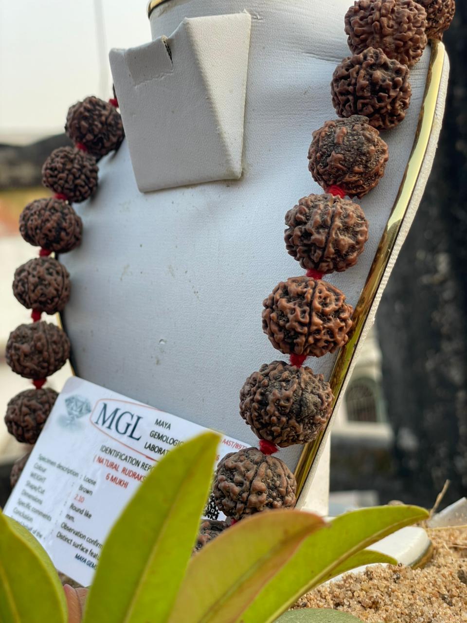 Natural Brown 6 Mukhi Nepali Rudraksha Mala : Wisdom & Victory
