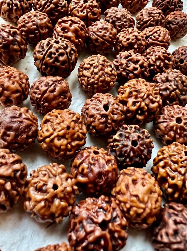 5 Mukhi  Rudraksha Mala Wearing & Chanting with BrahmaGanth : Improved memory, Intelligence, Focus & Spiritual Growth