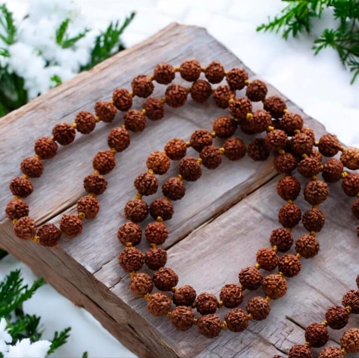 5 Mukhi  Rudraksha Mala Wearing & Chanting with BrahmaGanth : Improved memory, Intelligence, Focus & Spiritual Growth