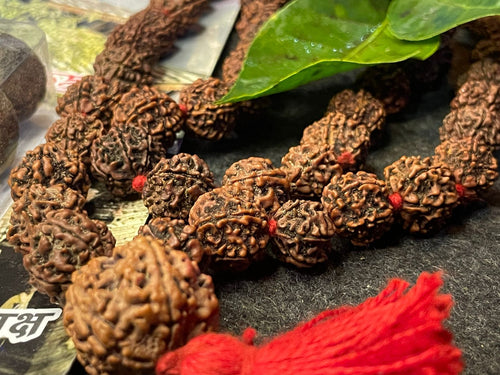 5 Mukhi Nepali Rudraksha Mala : Wearing & Chanting : Purity and Inner Peace